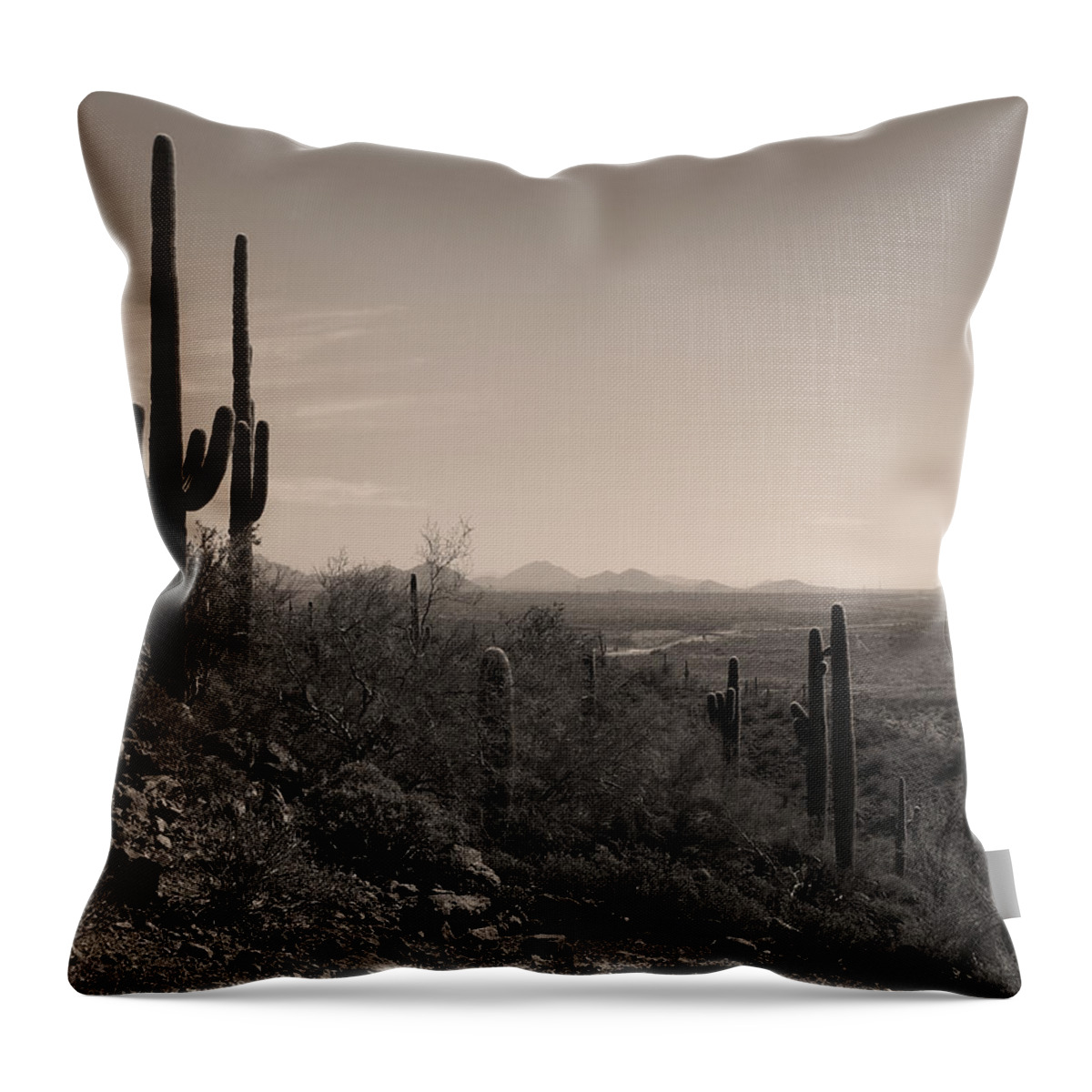 Saguaro Throw Pillow featuring the photograph Arizona Icons by Gordon Beck