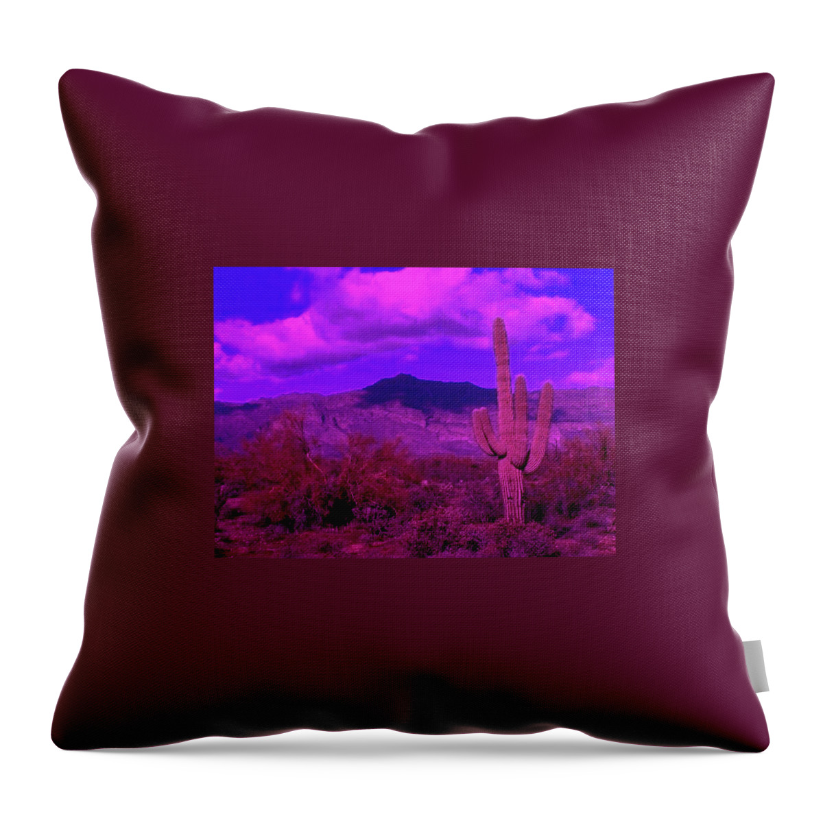 Arizona Throw Pillow featuring the photograph Arizona Purple Haze by Judy Kennedy