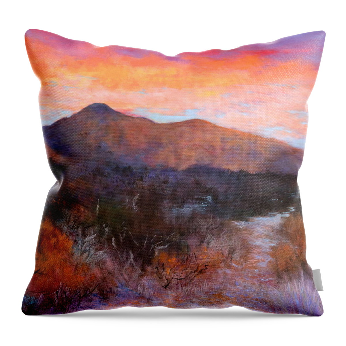 Arizona Throw Pillow featuring the painting Arizona Sunset 3 by M Diane Bonaparte