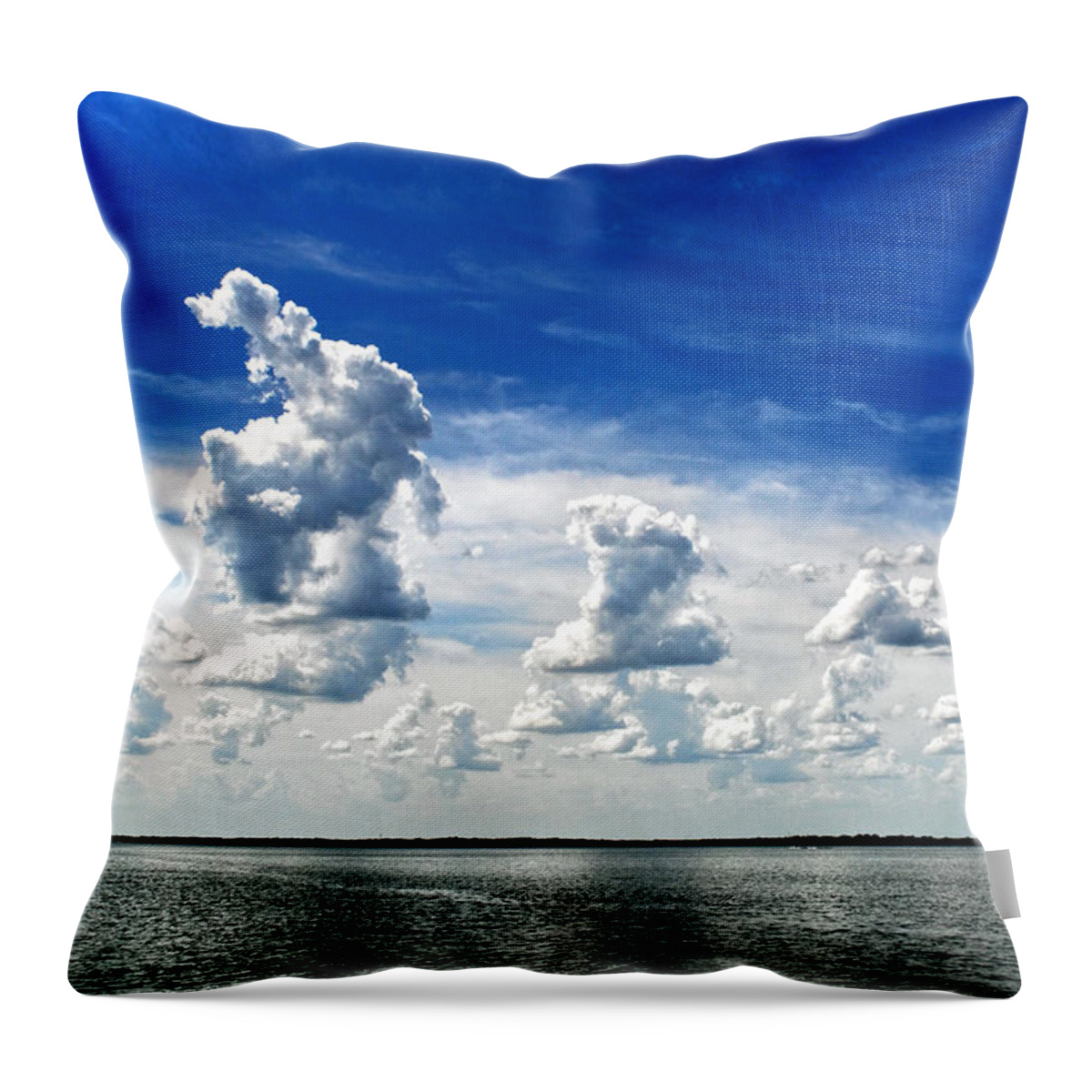 Texas Throw Pillow featuring the photograph Armada by Erich Grant