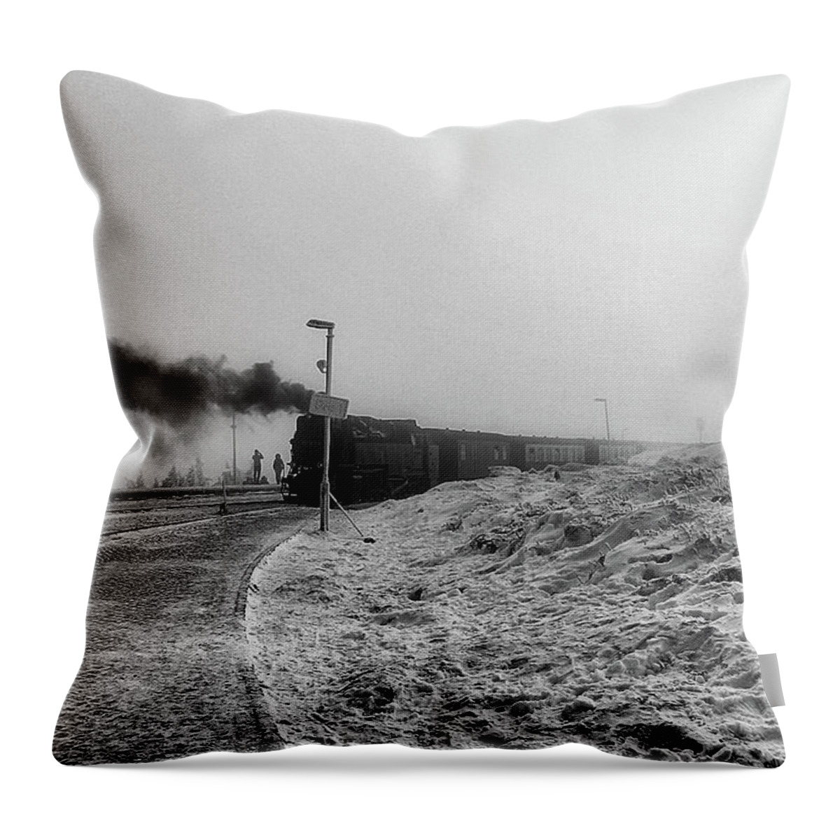 Germany Throw Pillow featuring the photograph Arrival by Ingrid Dendievel