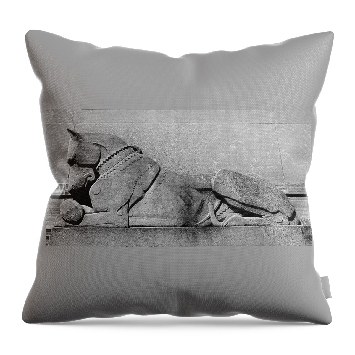 Digital Throw Pillow featuring the photograph Art Deco Great Dane by Richard Ortolano