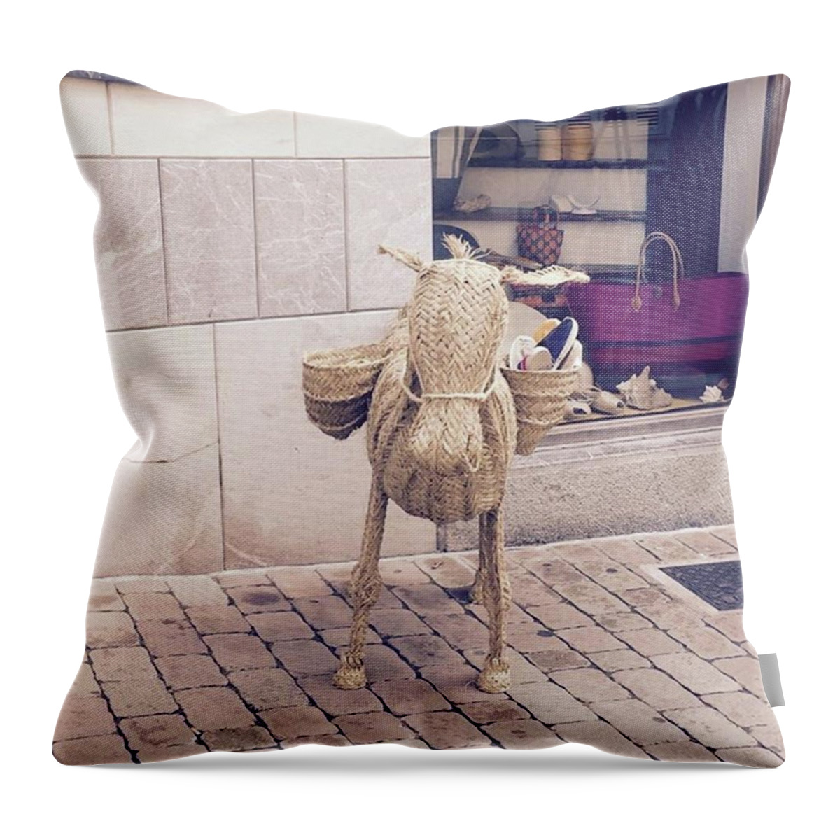 Art Throw Pillow featuring the photograph Flowerpot by Dannise Masiglat