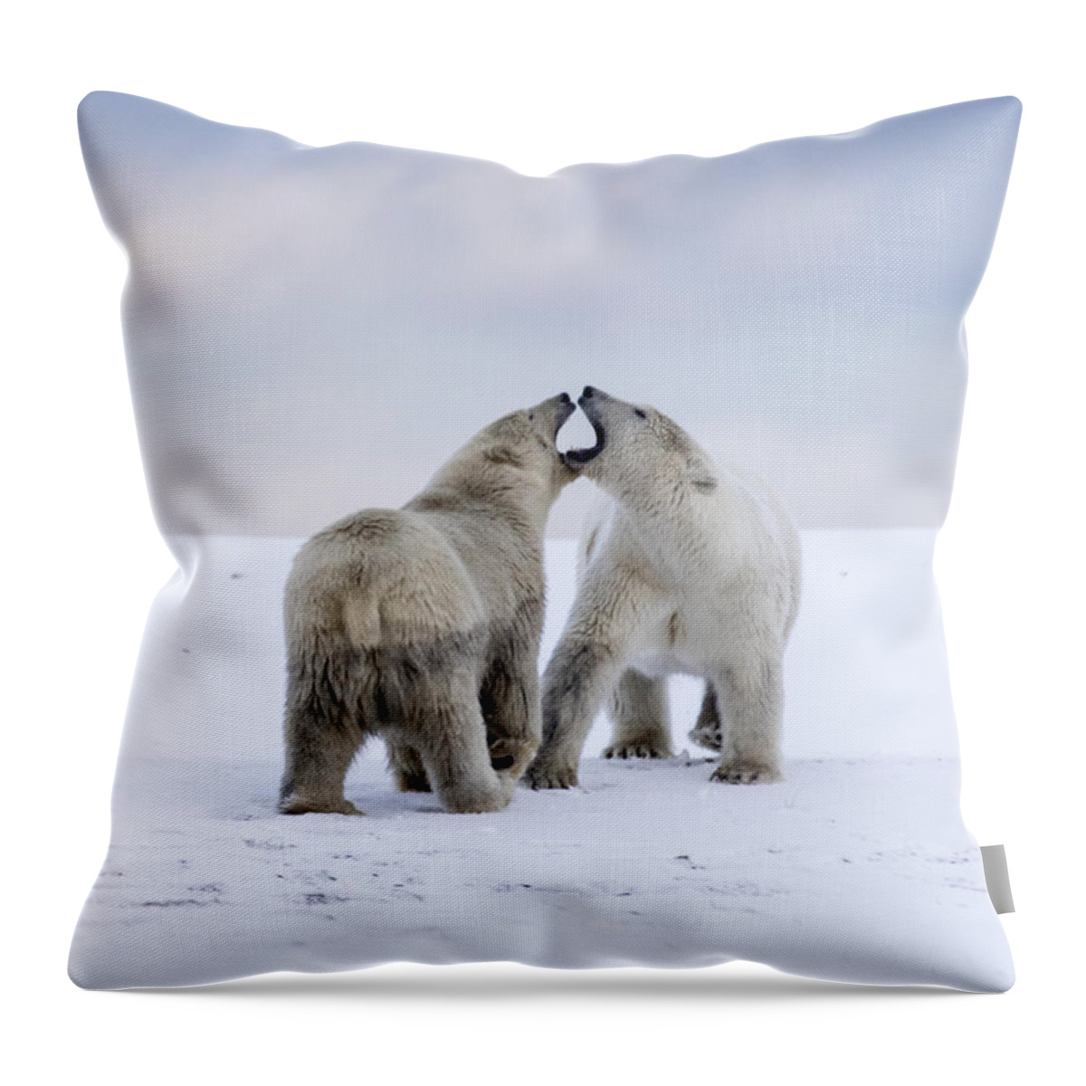 Animal Throw Pillow featuring the photograph Artic Antics by Cheryl Strahl