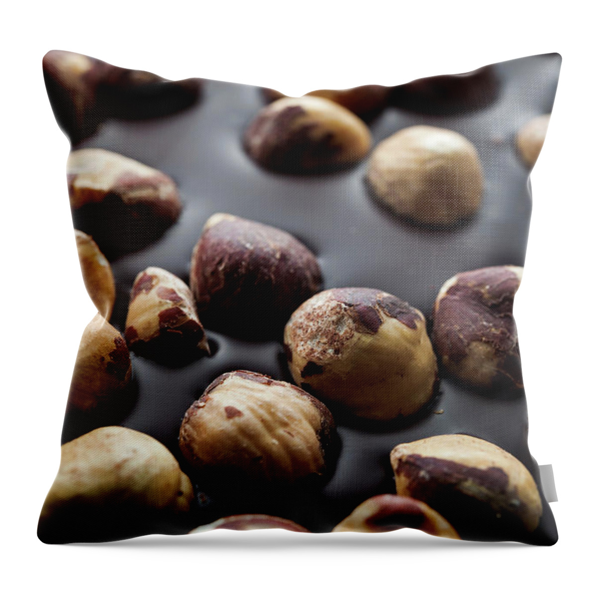 Chocolate Throw Pillow featuring the photograph Artisanal chocolate with hazelnuts by Elena Elisseeva