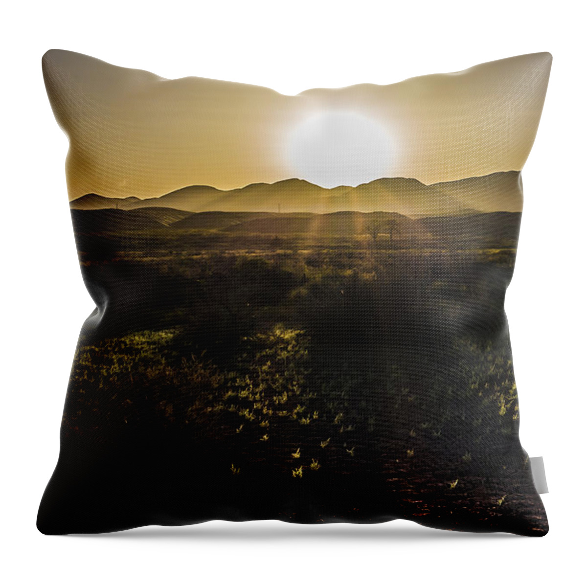 2015 May Throw Pillow featuring the photograph Chupadera National Recreation Trail by Bill Kesler