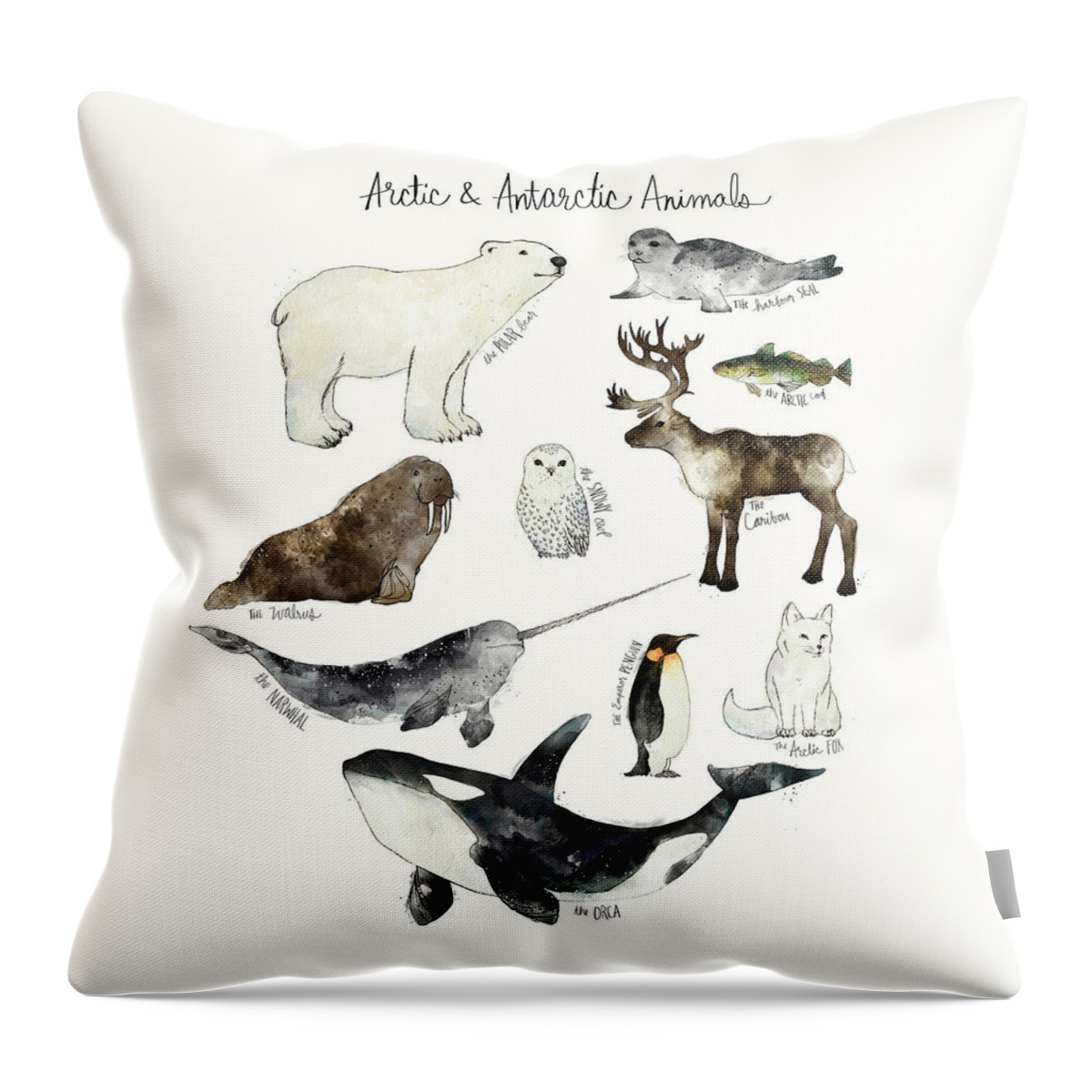 Chart Throw Pillow featuring the painting Arctic and Antarctic Animals by Amy Hamilton