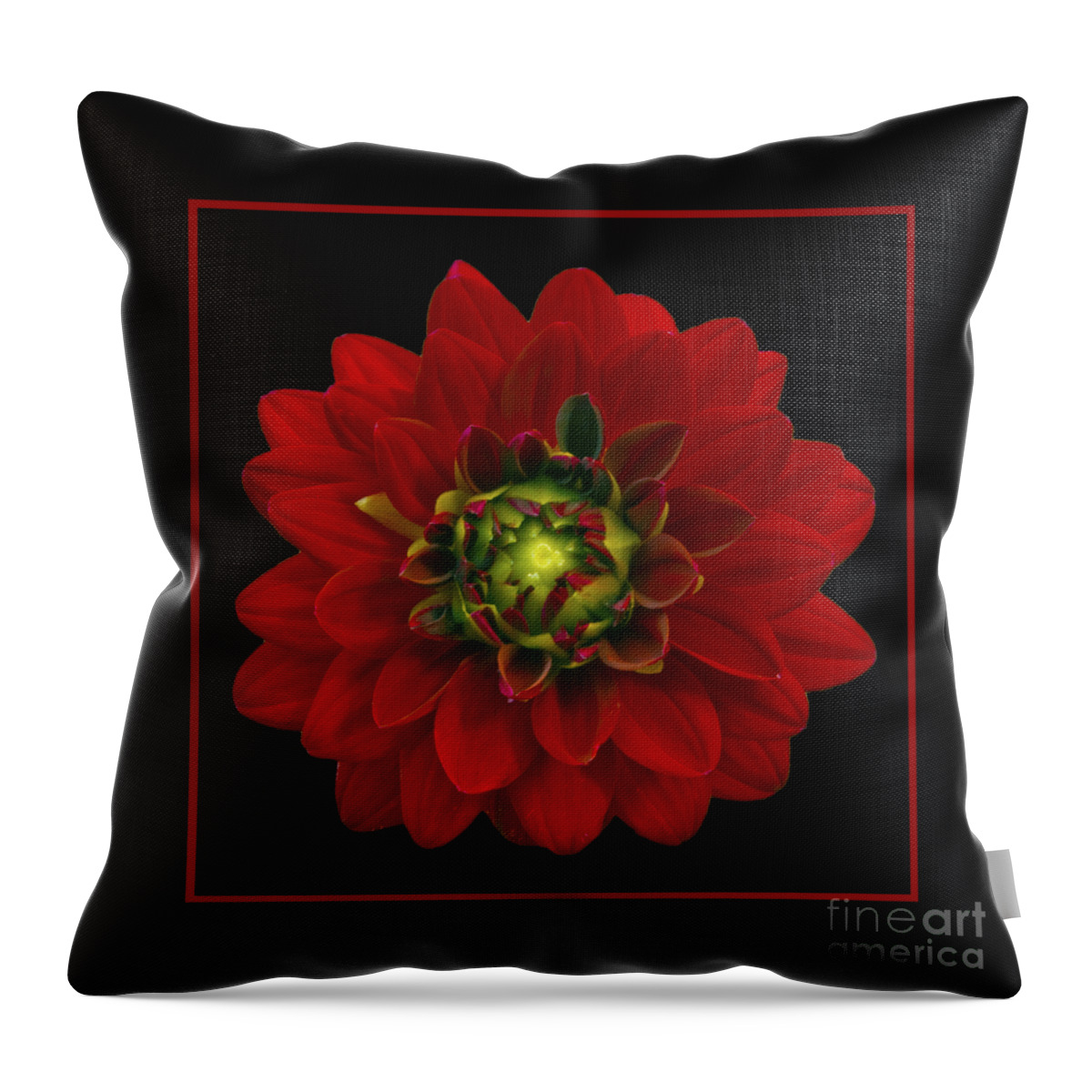 Dahlia Throw Pillow featuring the photograph Red Dahlia by Michael Peychich