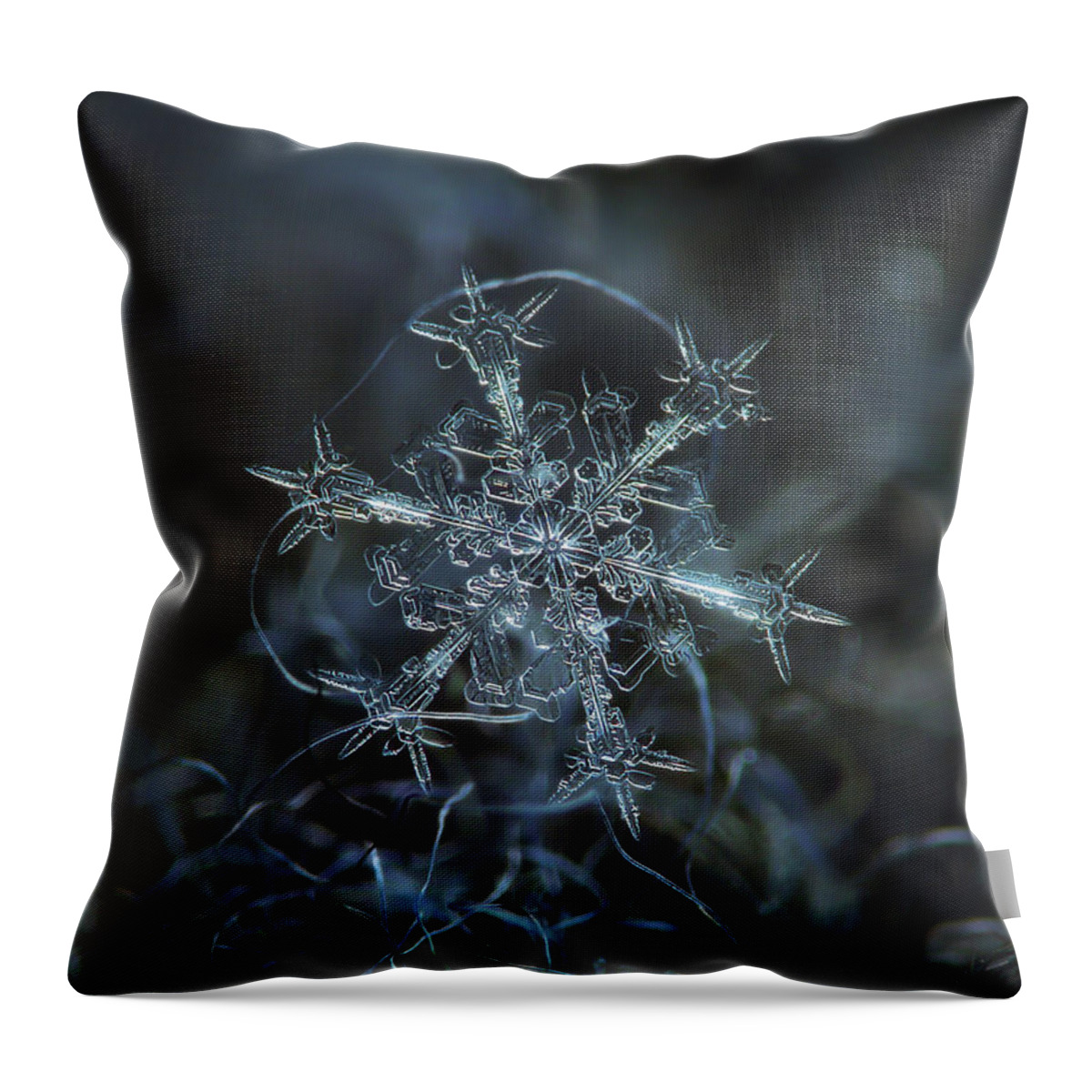 Snowflake Throw Pillow featuring the photograph Starlight, panoramic version by Alexey Kljatov