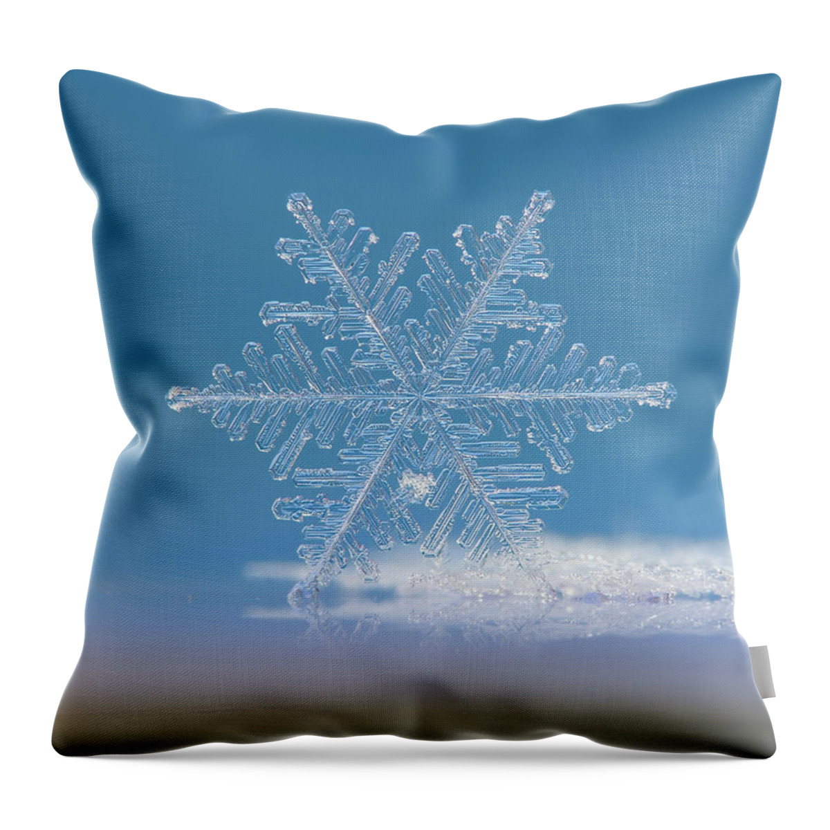 Snowflake Throw Pillow featuring the photograph Cloud number nine, panoramic version by Alexey Kljatov