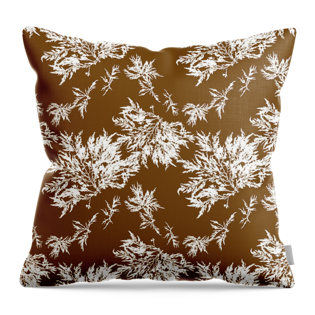 Seaweed Throw Pillow featuring the mixed media Brown Kelp Seaweed Art Chylocladia Clavellosa by Christina Rollo