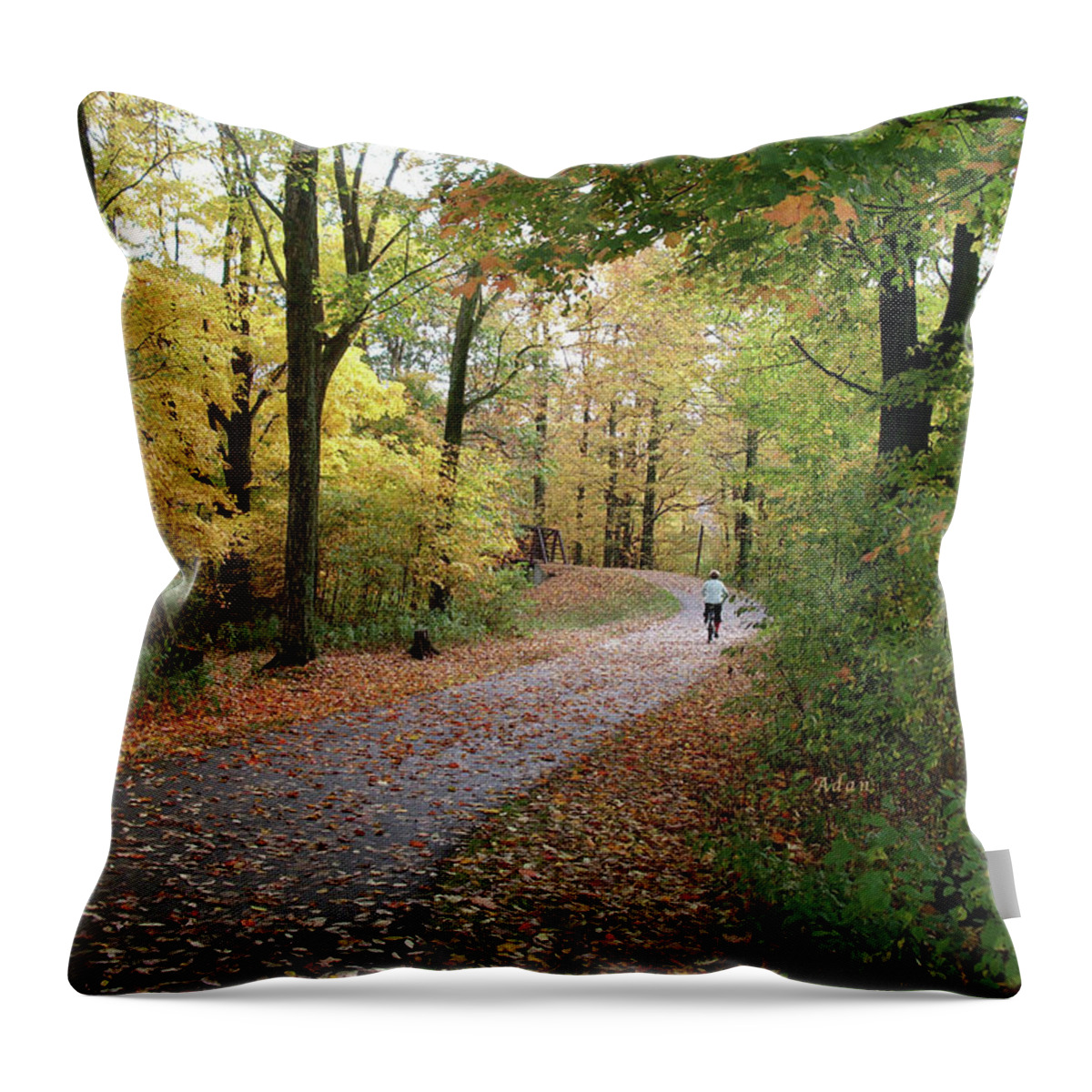 Fall Colors Throw Pillow featuring the photograph Autumn Bicycling by Felipe Adan Lerma