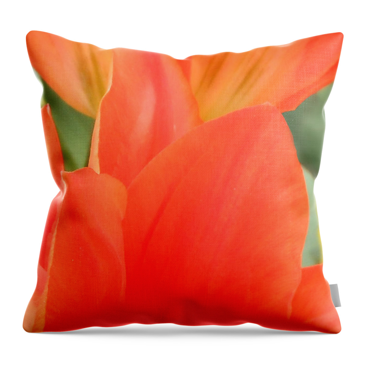 Orange Tulip Throw Pillow featuring the photograph Orange Emperor Tulips by Kristin Aquariann