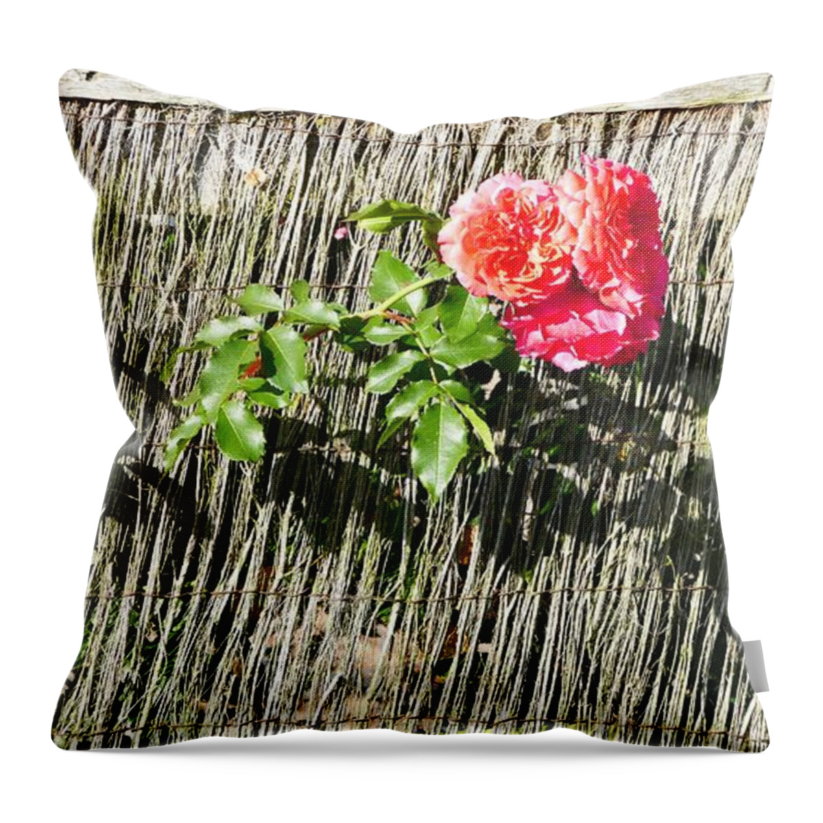 Rose Throw Pillow featuring the photograph Floral Escape by Ivana Westin