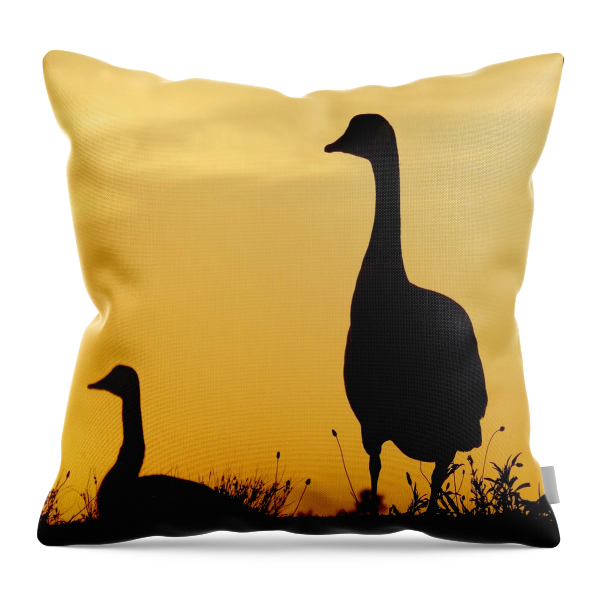 Geese Throw Pillow featuring the photograph Geese in Sunset Silhouette by Beth Myer Photography