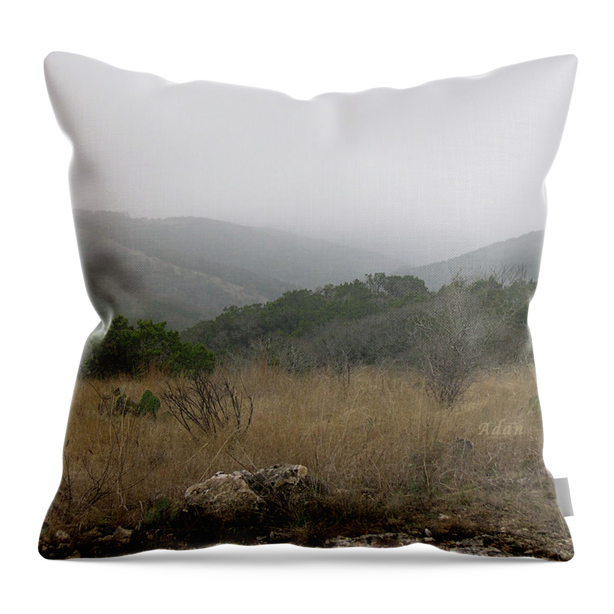 Texas Hill Country Throw Pillow featuring the photograph Road to Lost Maples by Felipe Adan Lerma