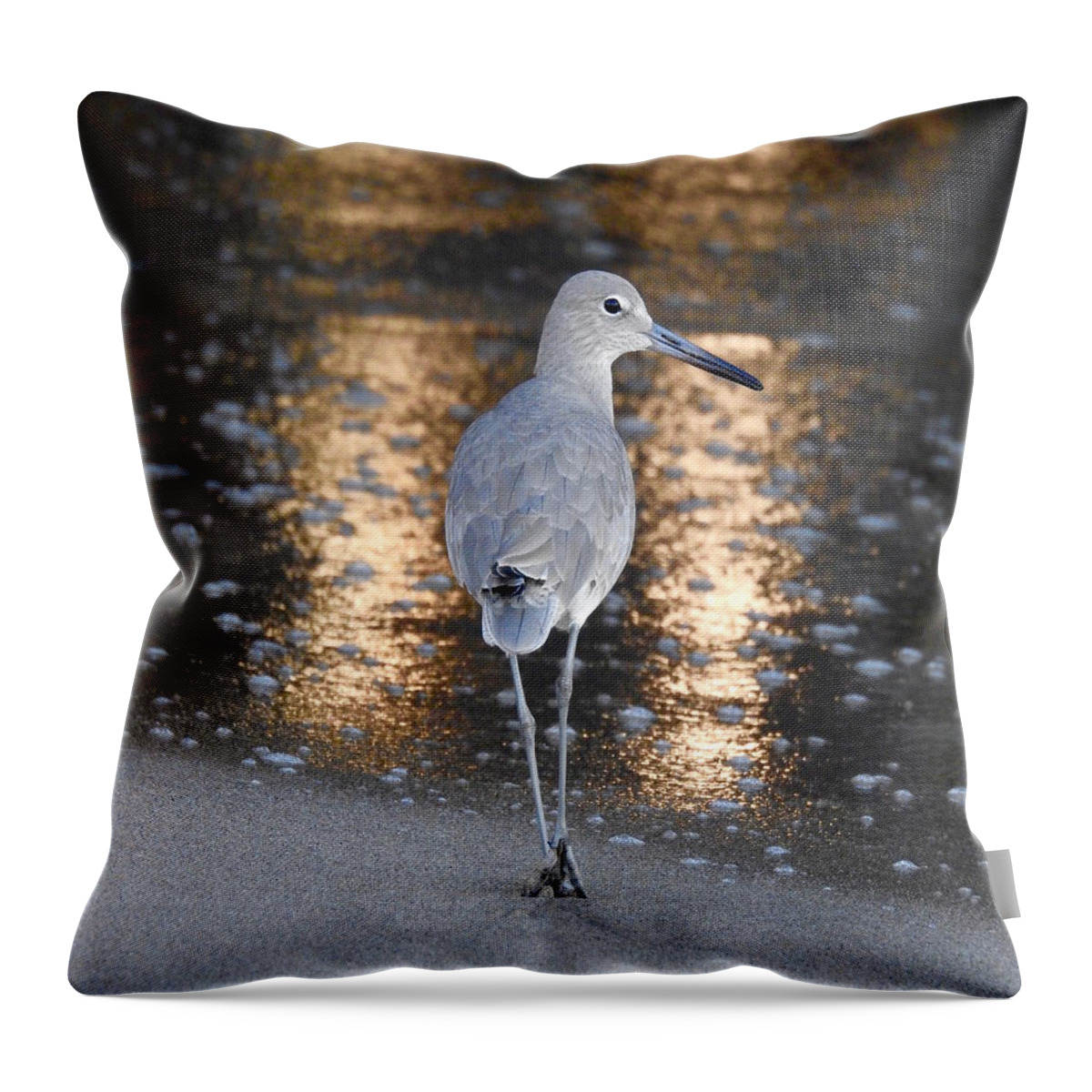 Sandpiper Throw Pillow featuring the photograph Sunrise Sandpiper by Beth Myer Photography