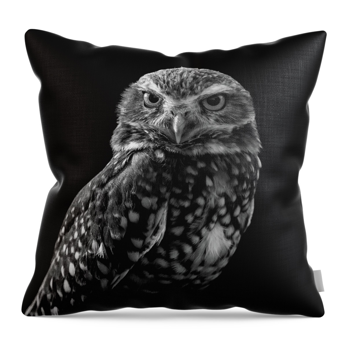 Burrowing Owl Throw Pillow featuring the photograph Burrowing Owl by Chris Scroggins
