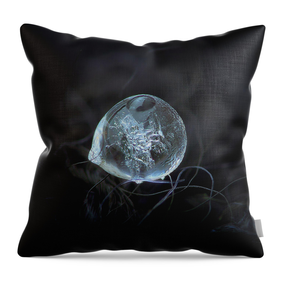 Ice Throw Pillow featuring the photograph Drop of ice rain by Alexey Kljatov