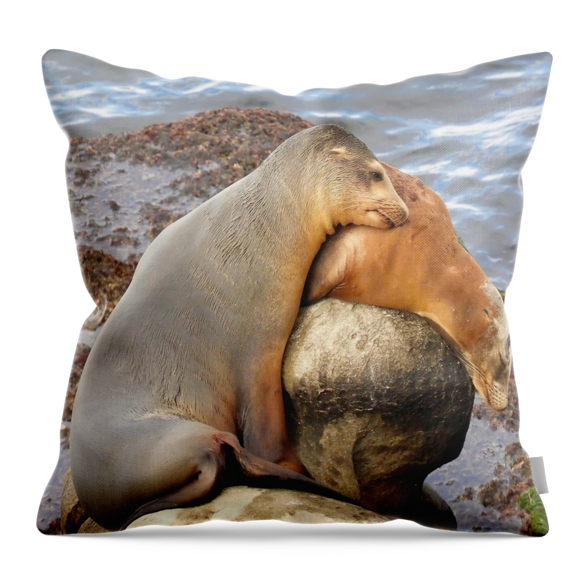 Sea Lion Throw Pillow featuring the photograph Baby Love by Beth Myer Photography