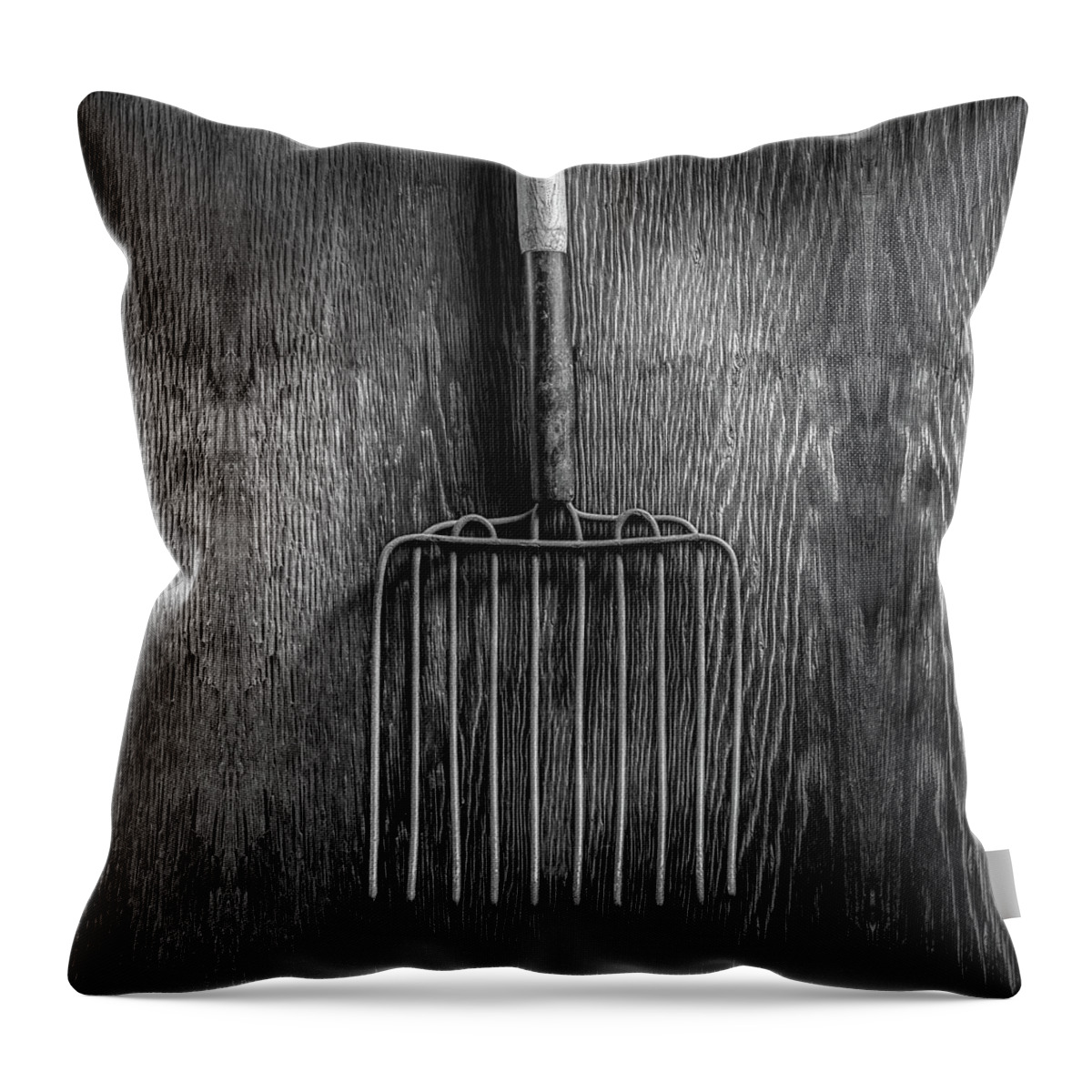 Art Throw Pillow featuring the photograph Ensilage Fork Up on Plywood in BW 66 by YoPedro