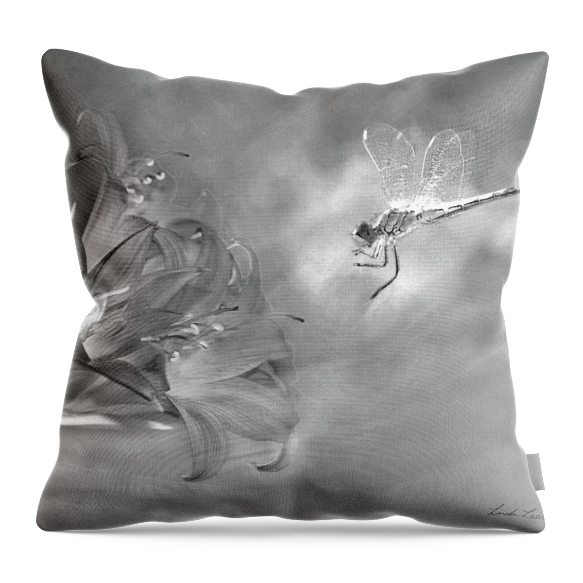 Belladonna Throw Pillow featuring the photograph The Dragonfly and the Flower by Linda Lees