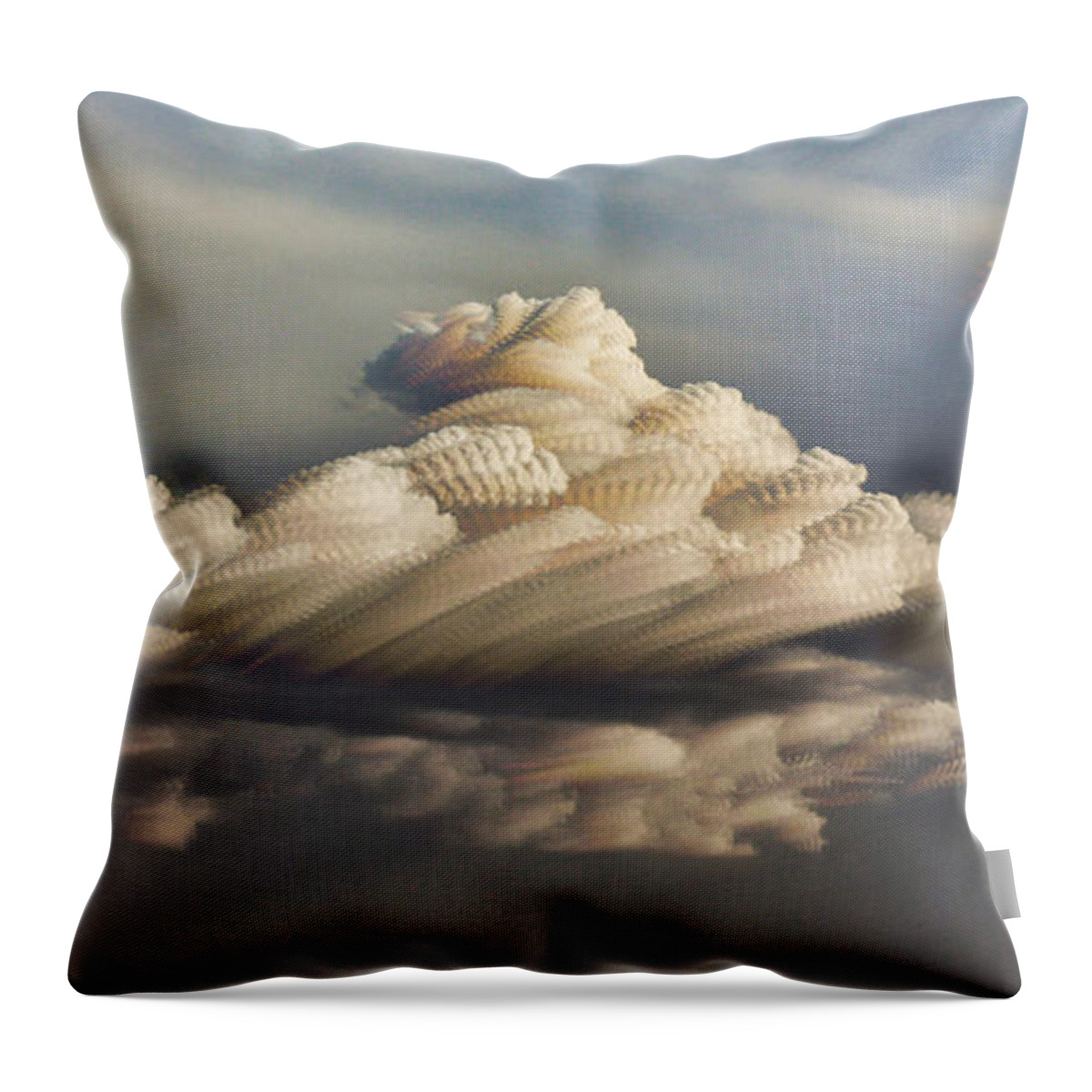Bill Kesler Photography Throw Pillow featuring the photograph Cupcake In The Cloud by Bill Kesler