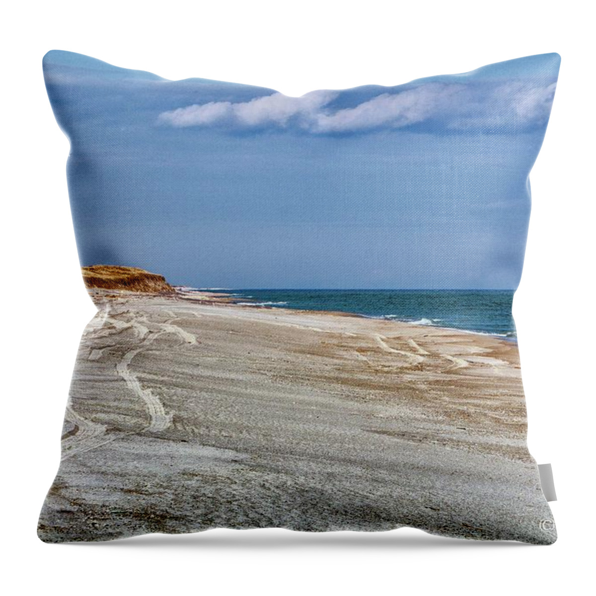  Nauset Throw Pillow featuring the photograph As Far As The Eye Can See by Constantine Gregory