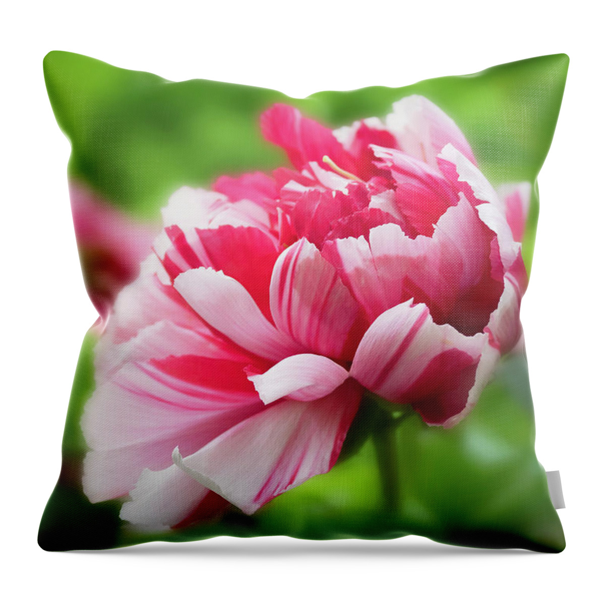 Asia Throw Pillow featuring the photograph As grand as it can be- Peony by Usha Peddamatham
