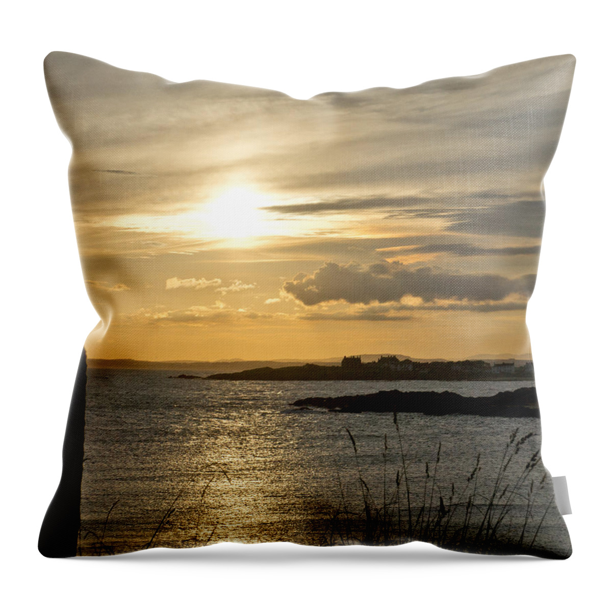 Sunny Evening Throw Pillow featuring the photograph As Grass in the Wind. by Elena Perelman