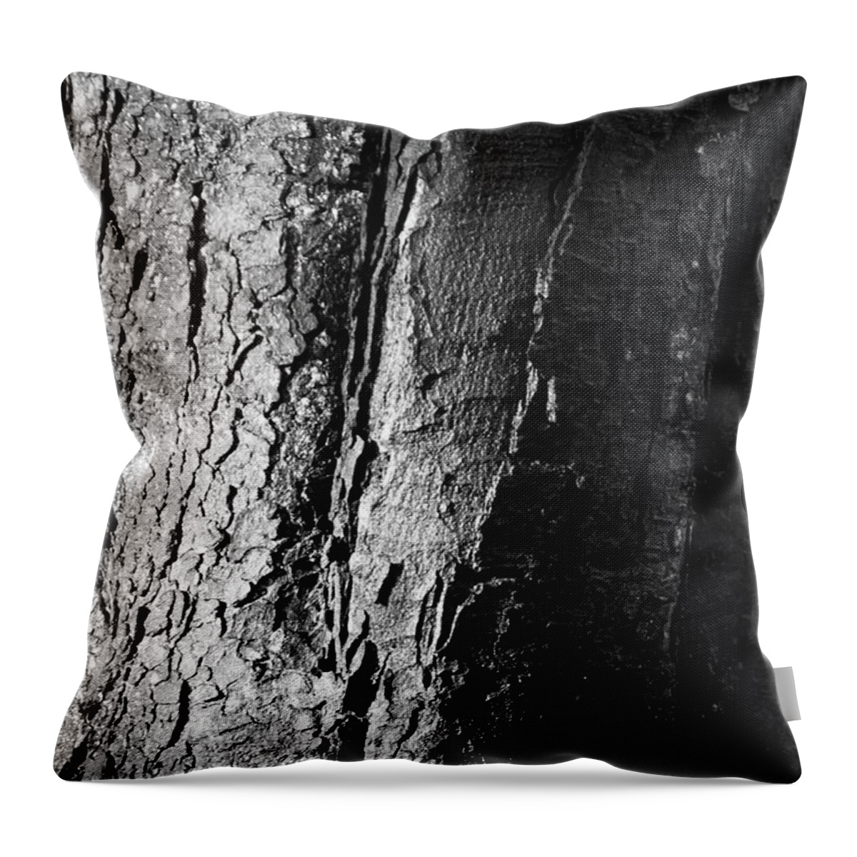 Lister Park Throw Pillow featuring the photograph As If Another by Jez C Self