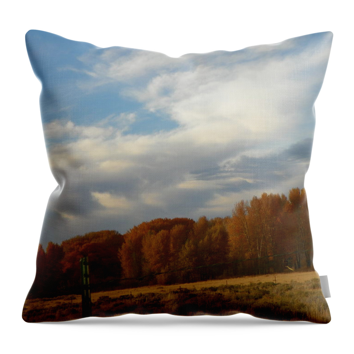Expressive Throw Pillow featuring the photograph As It Is by Lenore Senior