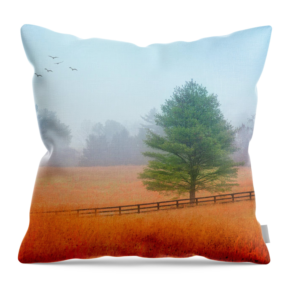 Landscape Throw Pillow featuring the photograph As Lonely As The Autumn Wind by Iryna Goodall