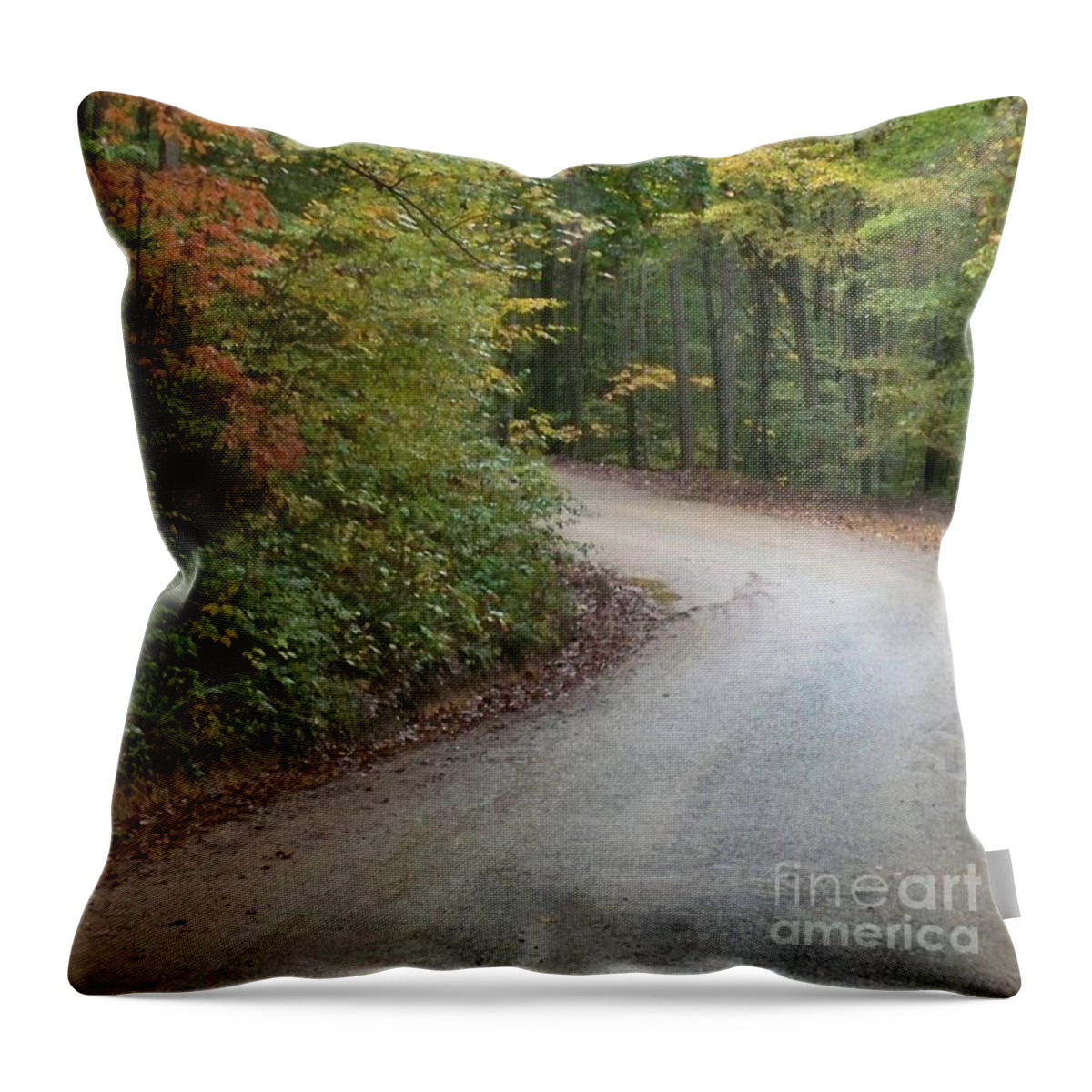 Road Throw Pillow featuring the photograph As The Road Turns by Aet By G-Sheeff
