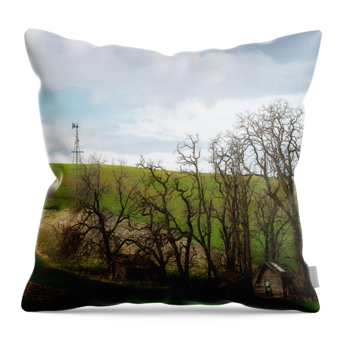 Palouse Throw Pillow featuring the photograph Ashes to Ashes by Ryan Manuel