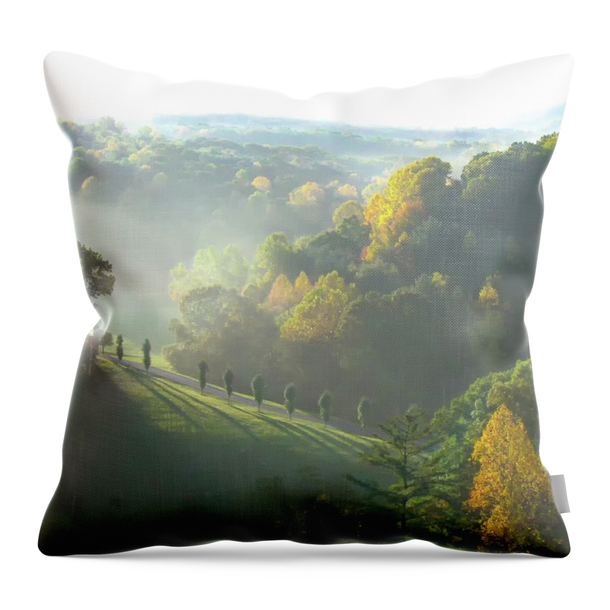 Asheville Throw Pillow featuring the photograph Asheville Autumn Mountain Sunrise by Norma Brandsberg