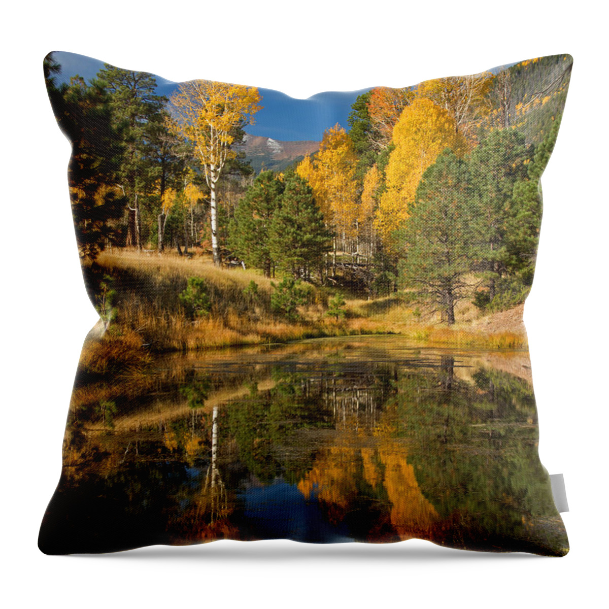 Fall Aspen Throw Pillow featuring the photograph Aspen Gold Reflection by Susan Westervelt