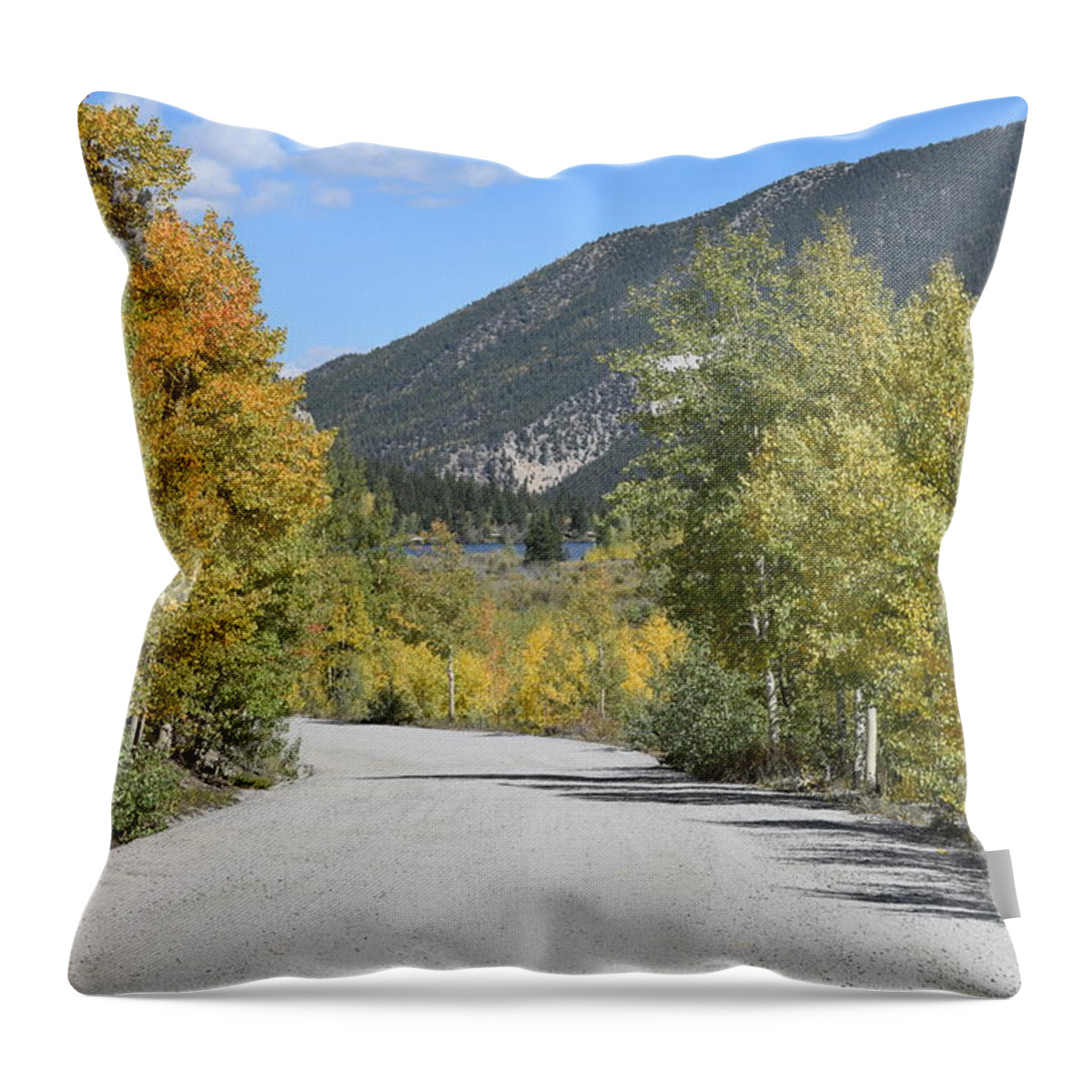 Aspen_line_road Throw Pillow featuring the photograph Aspen Lined Road by Margarethe Binkley