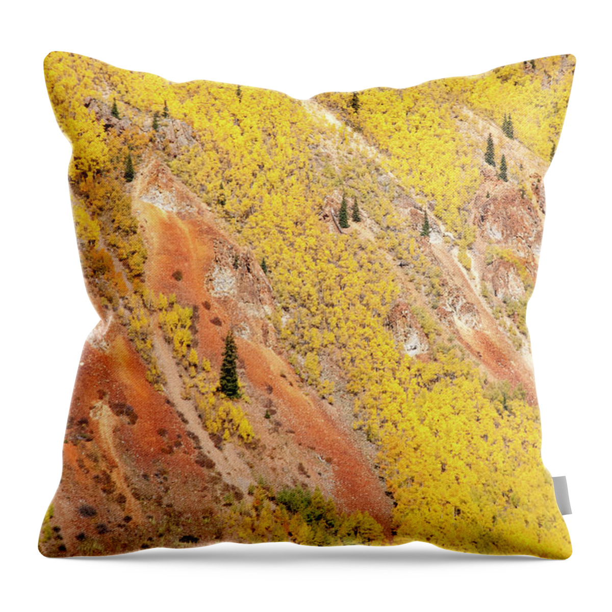 Colorado Throw Pillow featuring the photograph Aspen Mountainside by Steve Stuller