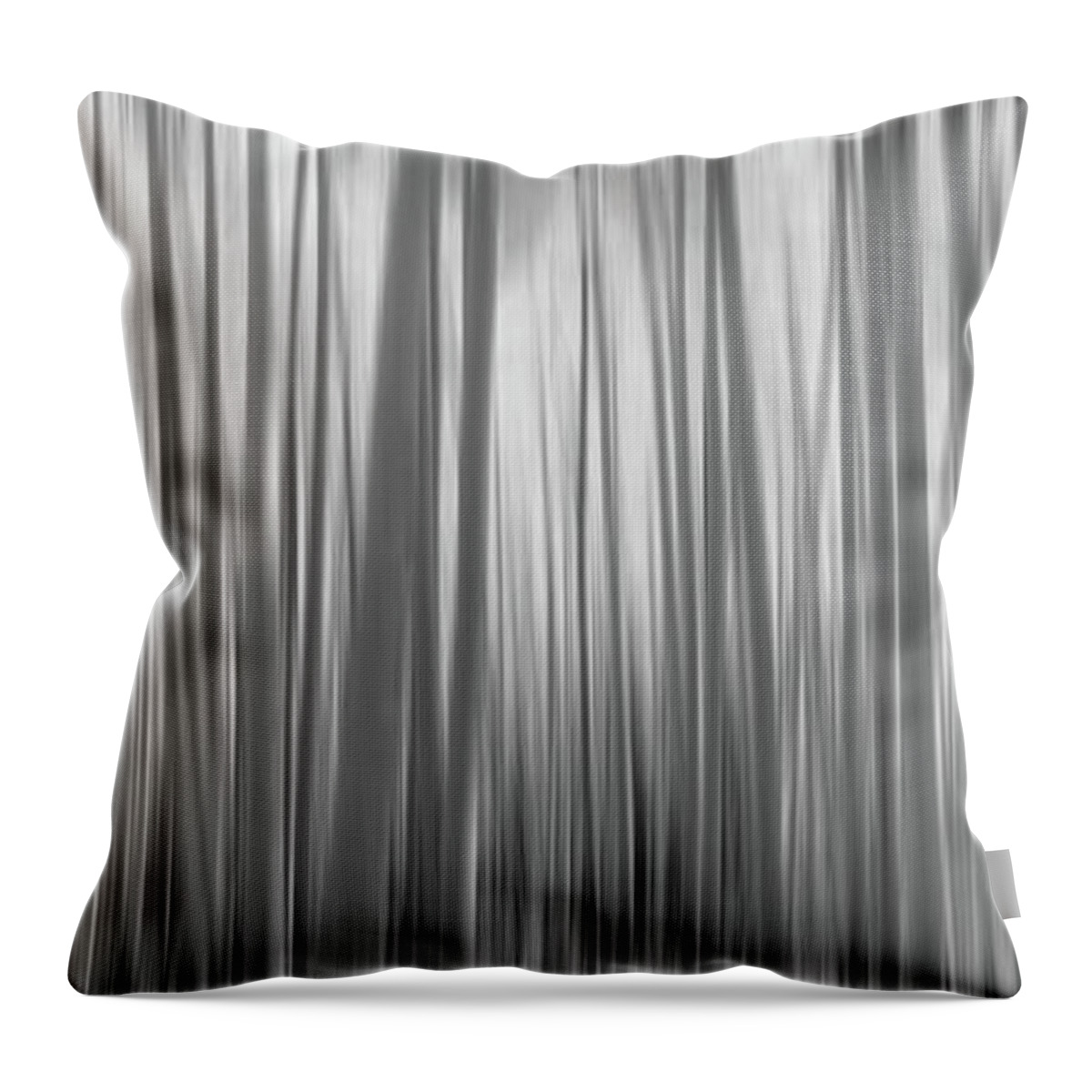 Yellow Aspen Trees Throw Pillow featuring the photograph Aspen Trees Abstract Pano BW by Michael Ver Sprill