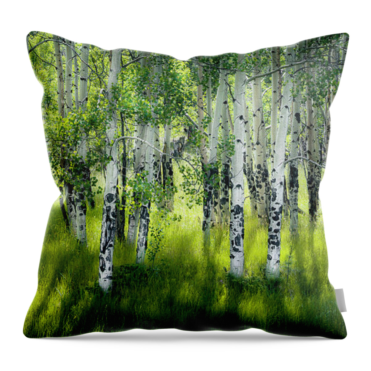Aspen Trees Throw Pillow featuring the photograph Aspen Trees Summer Forest by The Forests Edge Photography - Diane Sandoval