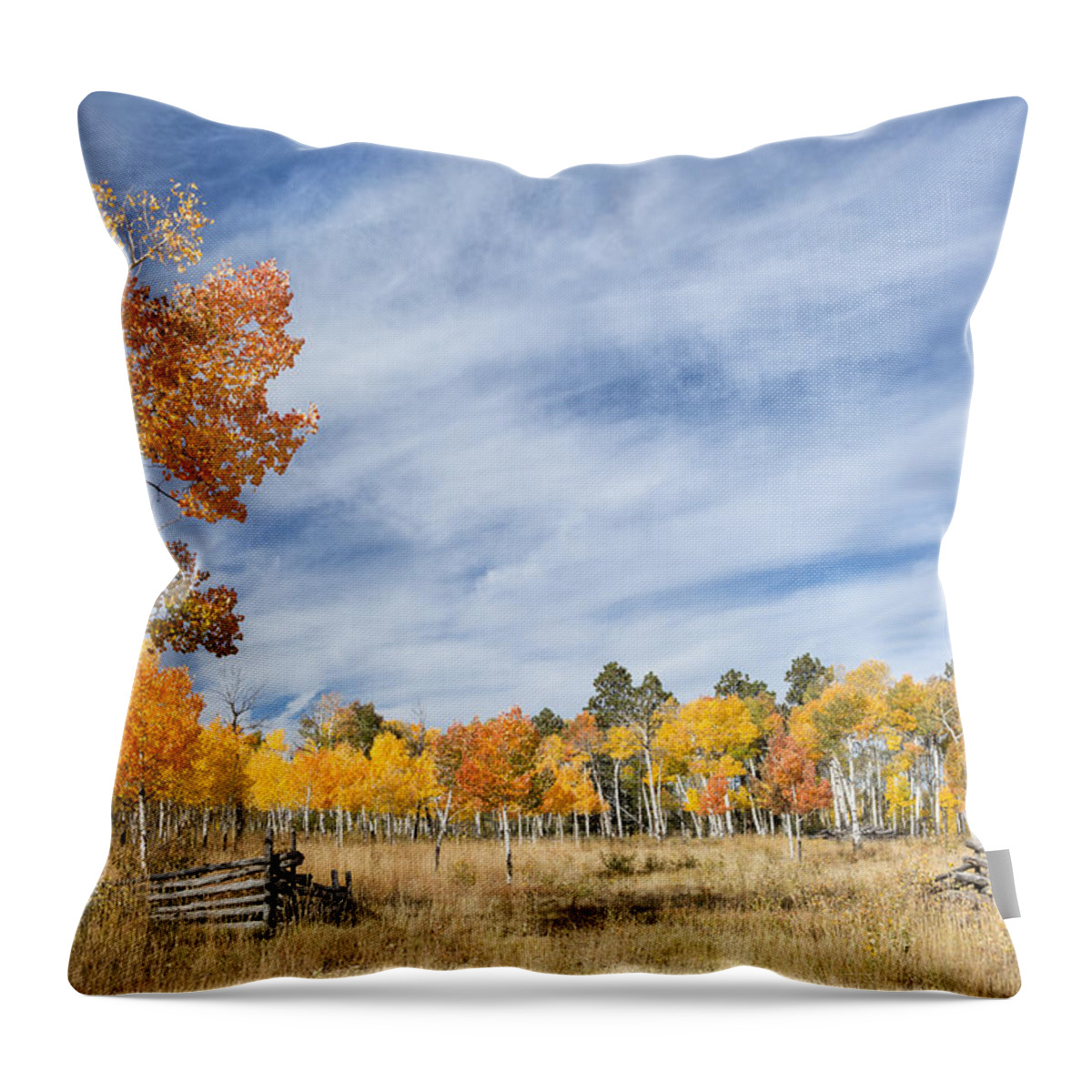 Aspen Throw Pillow featuring the photograph Aspen Tree Welcome by Denise Bush