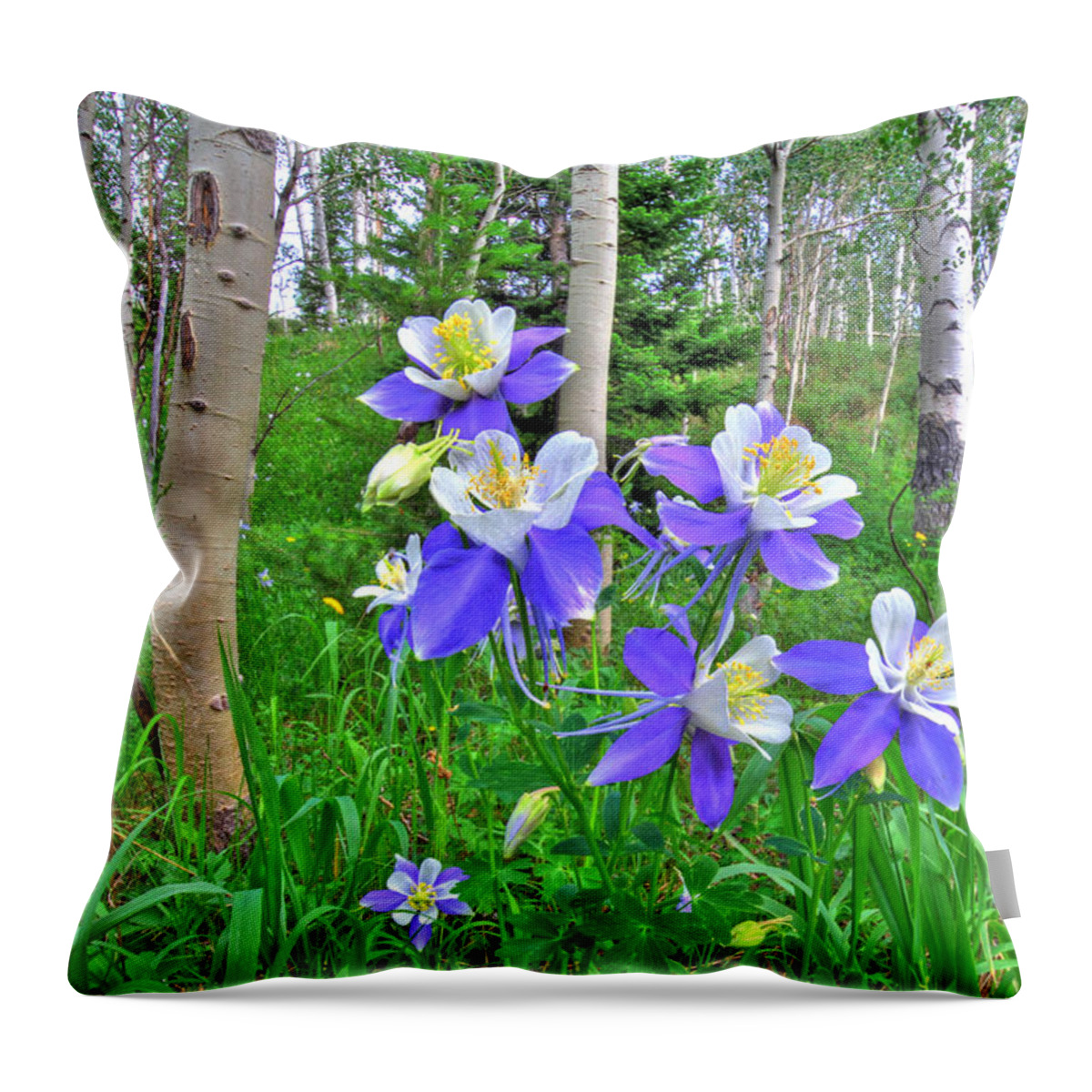 Aspen Throw Pillow featuring the photograph Aspens and Columbines by Scott Mahon