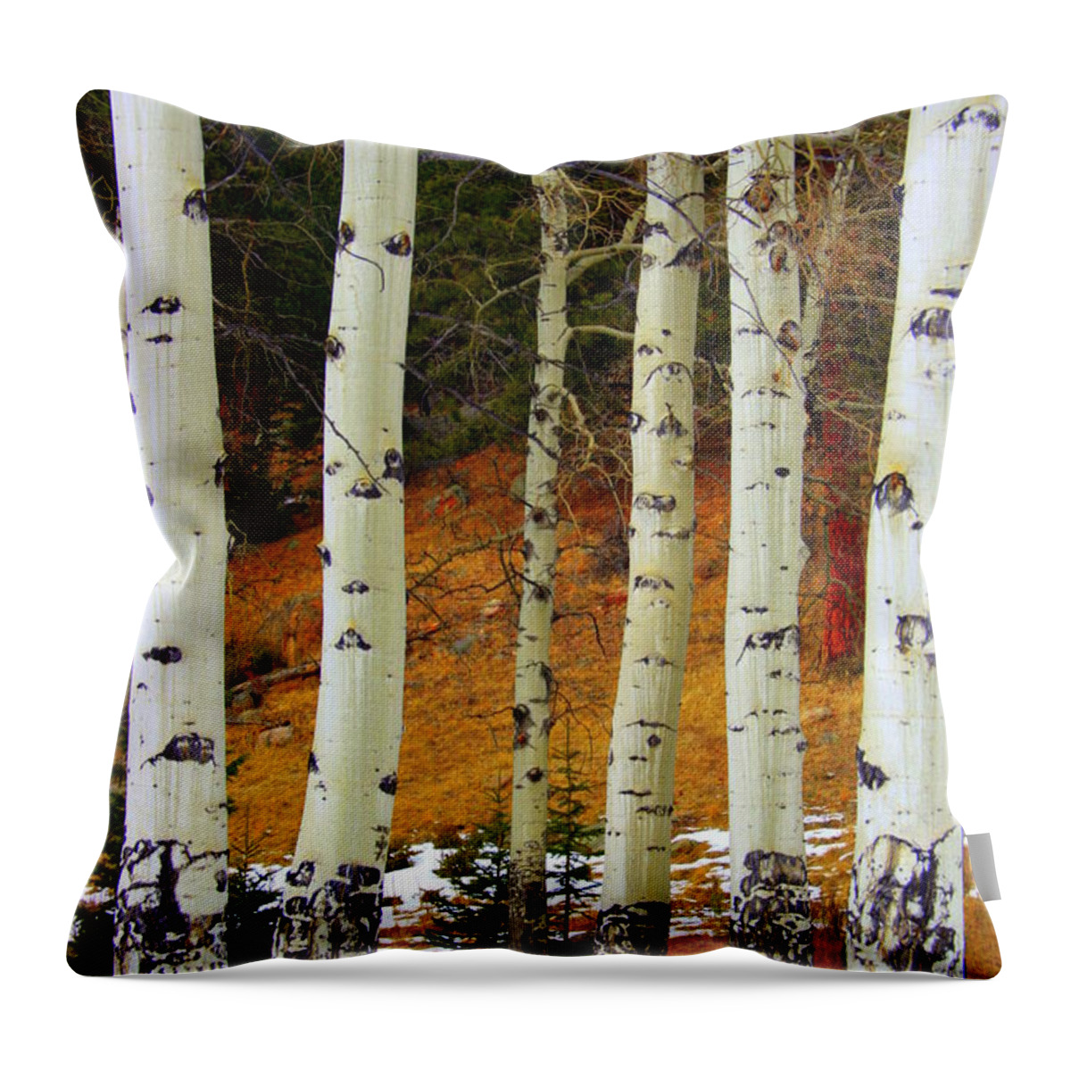 Aspens Throw Pillow featuring the photograph Aspens of white by Julie Lueders 
