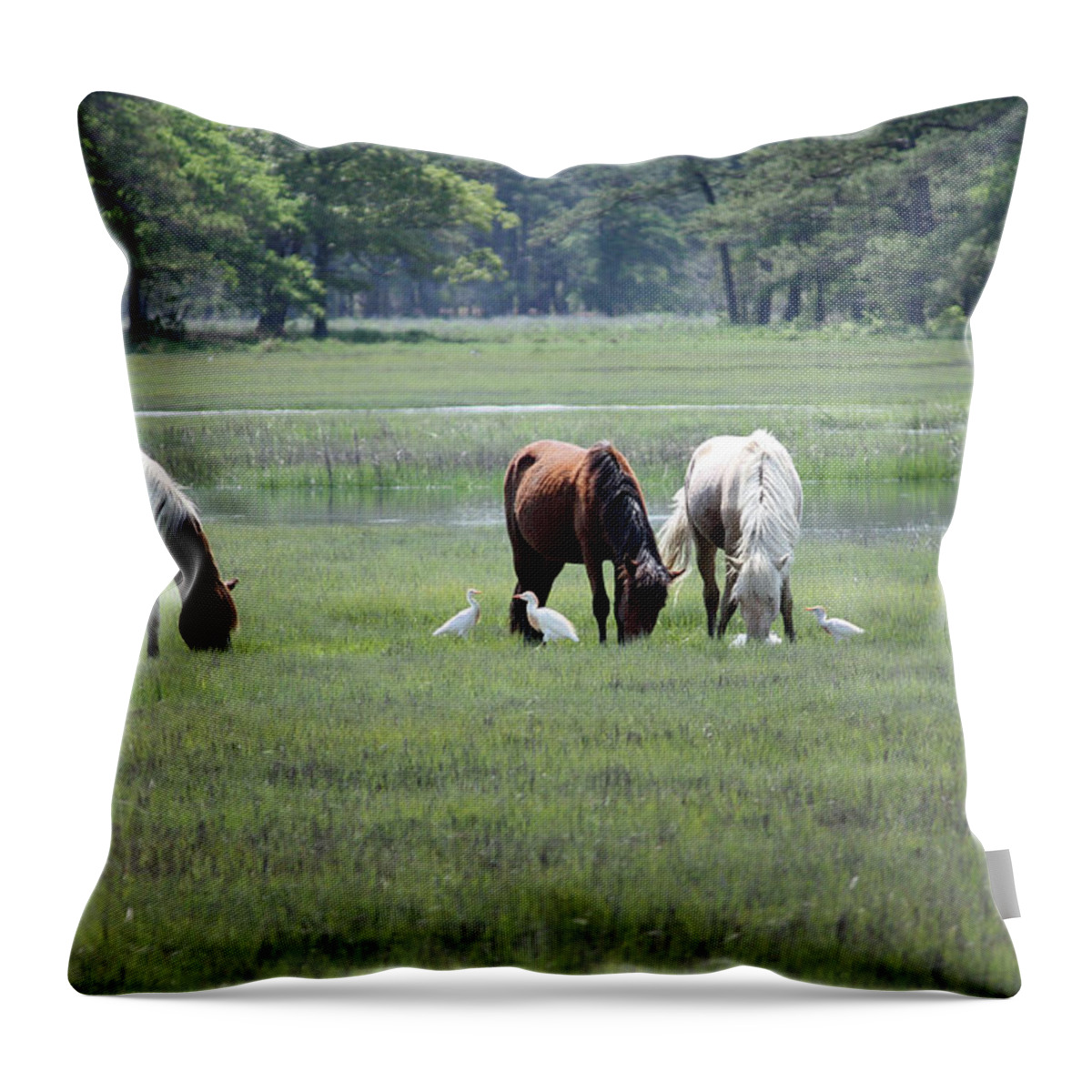 Maryland Throw Pillow featuring the photograph Assateague Island - Wild Ponies and their Buddies by Ronald Reid