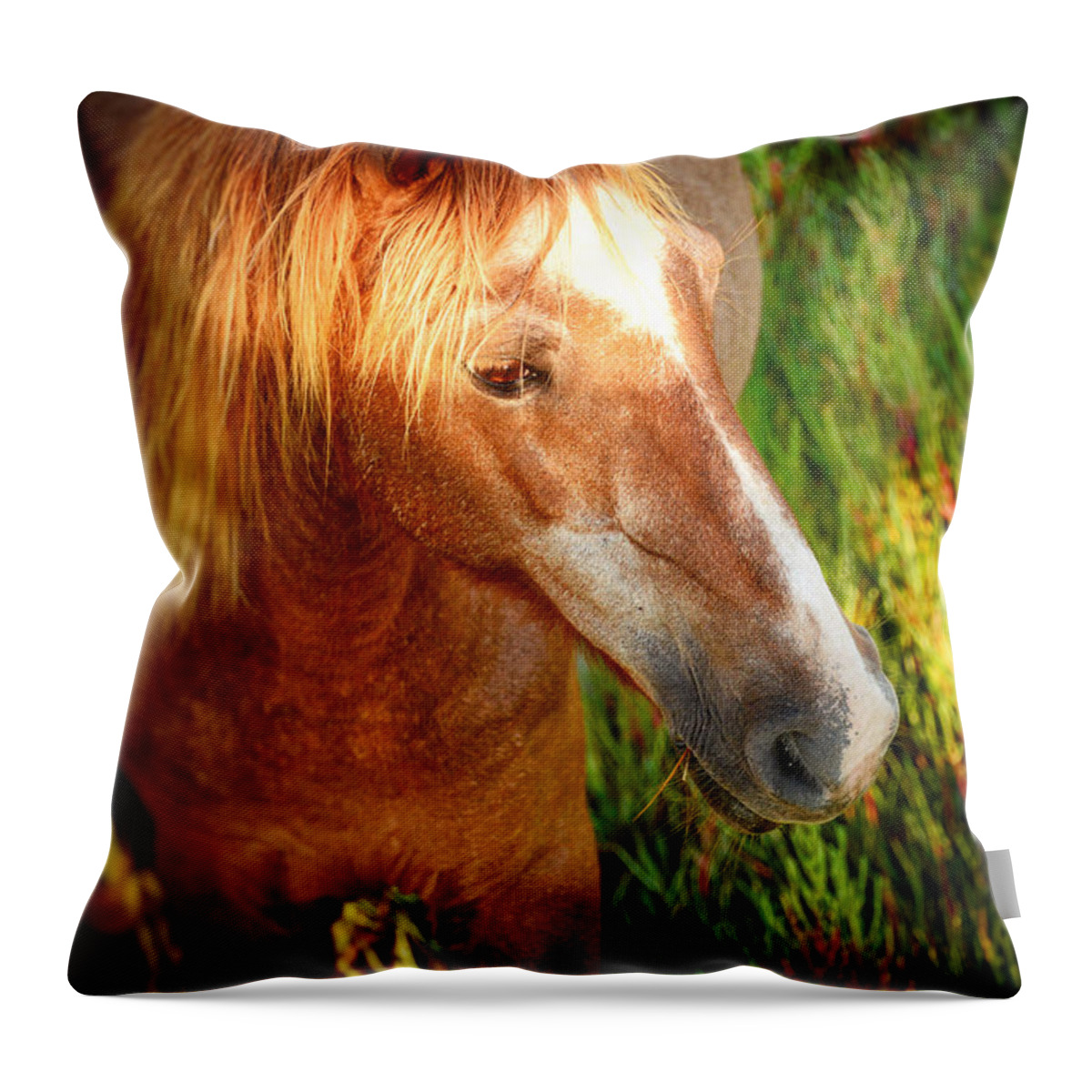 Animal Throw Pillow featuring the photograph Assateague Summer II by Kathi Isserman