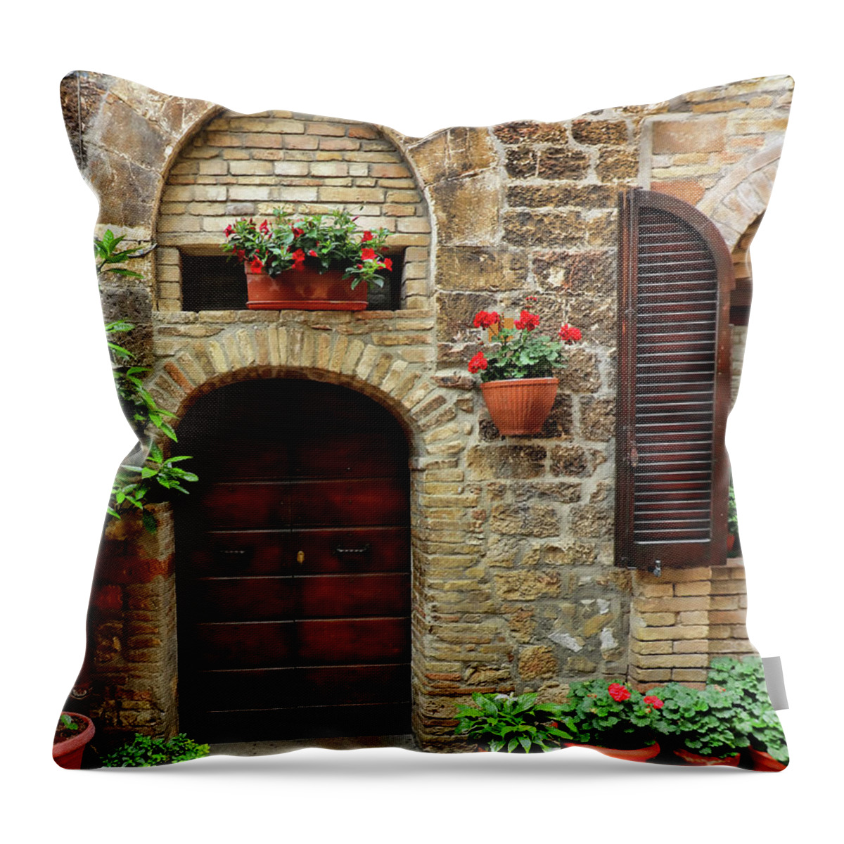 Assisi Throw Pillow featuring the photograph Assisi Doors 0580 by Jack Schultz