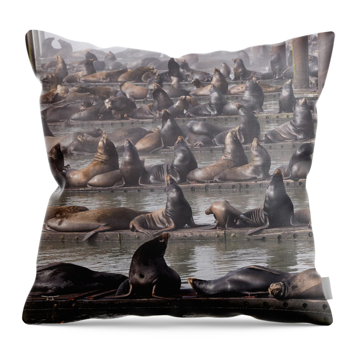 Animals Throw Pillow featuring the photograph Astoria Sea Lions by Robert Potts