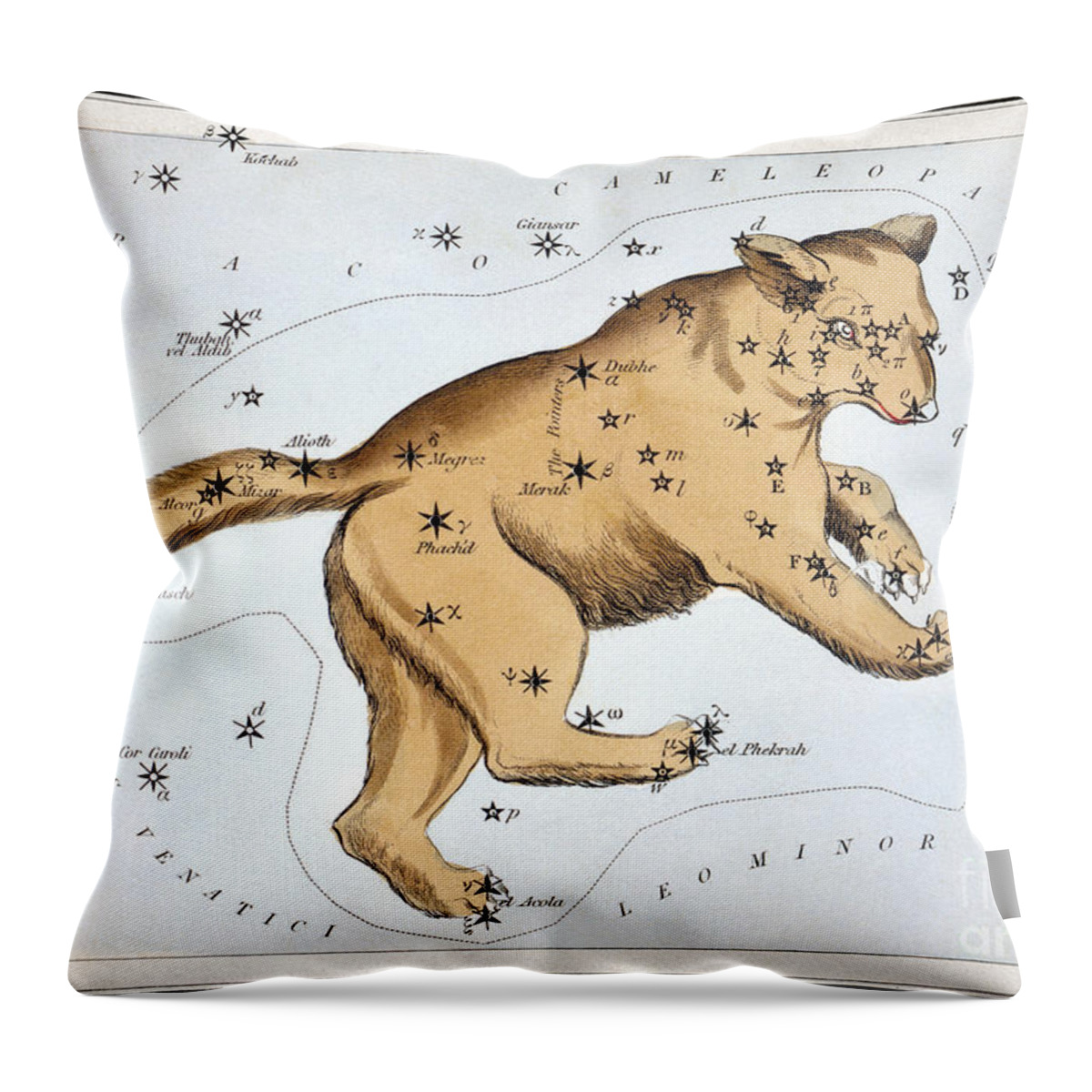 1825 Throw Pillow featuring the photograph Astronomy: Ursa Major by Granger