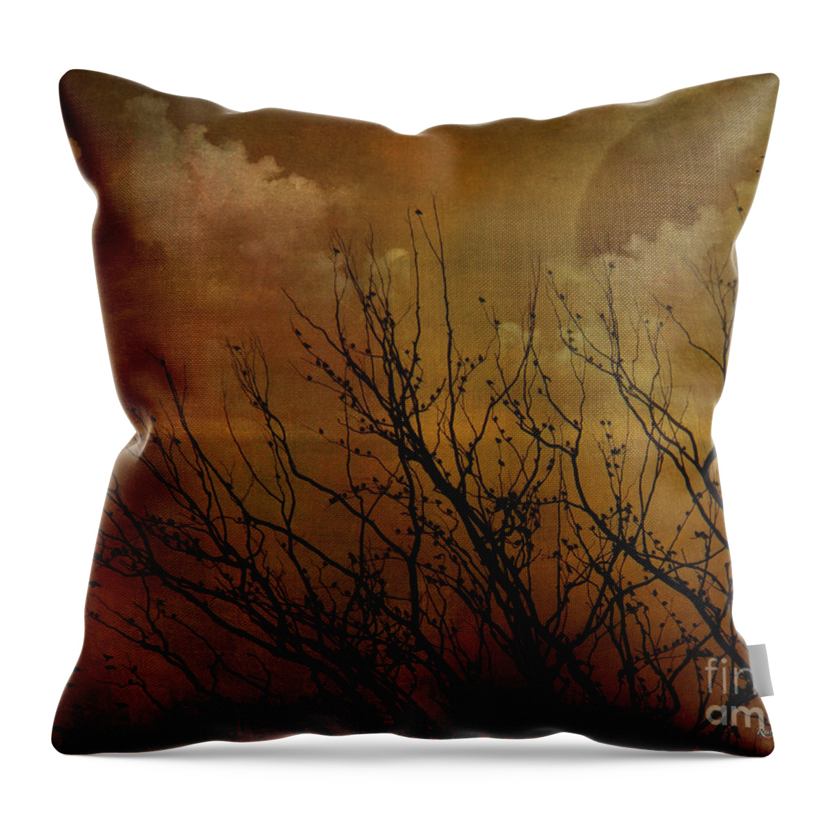 Sun Throw Pillow featuring the digital art At End of Day III by Rhonda Strickland